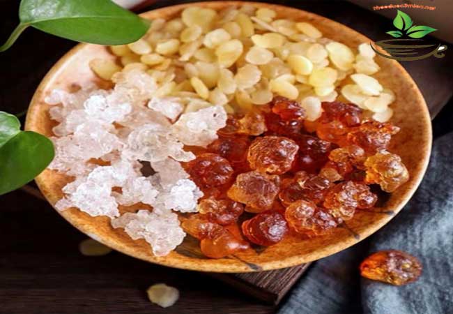 Nhựa đào tác dụng của nhựa đào