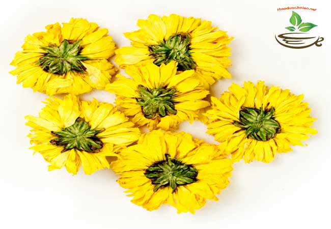 tác dụng trị bệnh của trà hoa cúc