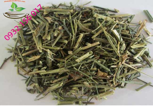 tác dụng của xuyên tâm liên với Covid 19