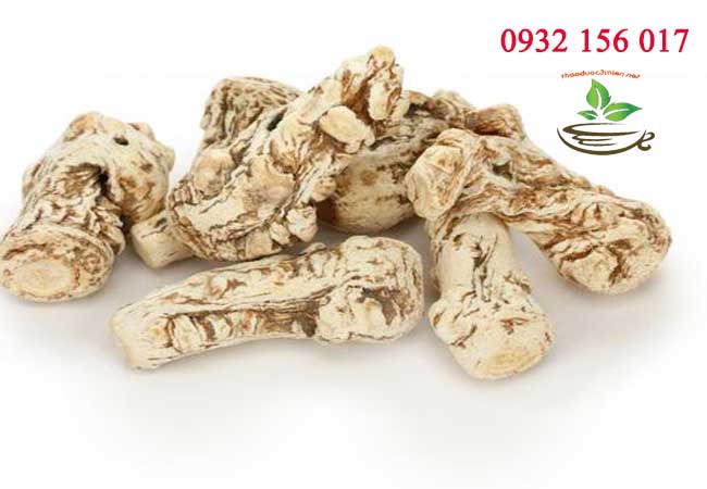 tác dụng của đương quy khô