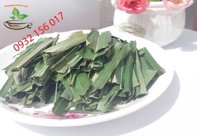 tác dụng của lá dứa nếp