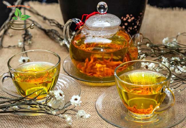 Tác dụng của nấm đông trùng hạ thảo
