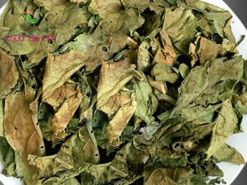 Tác hại của xạ đen