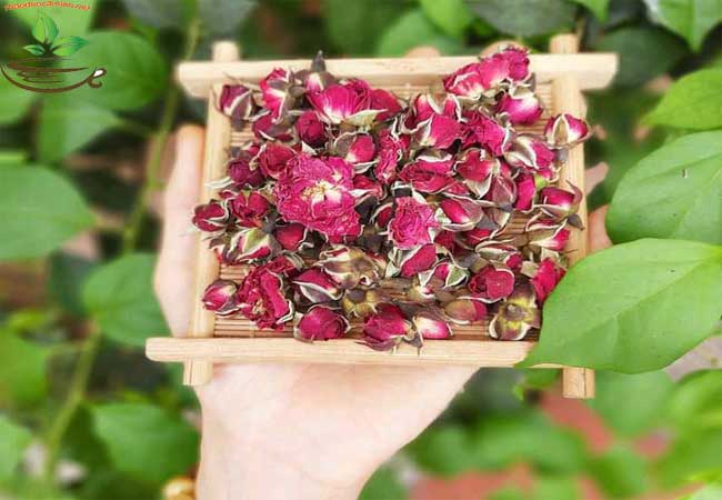 Thời gian dùng trà hoa hồng tốt nhất trong ngày