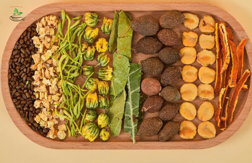 thuốc nam ngừa sỏi thận