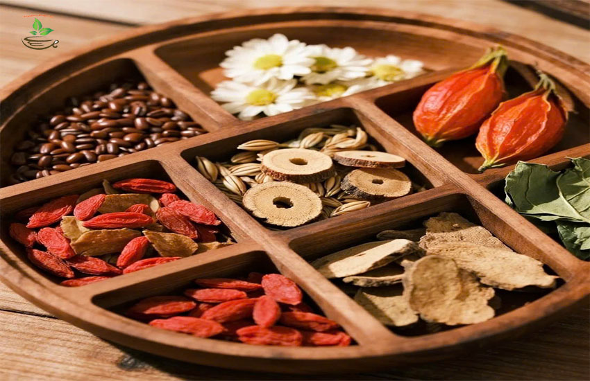 thuốc nam trị dạ dầy tiêu hoá đại tràng