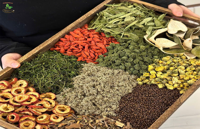 trà thảo mộc lợi sữa