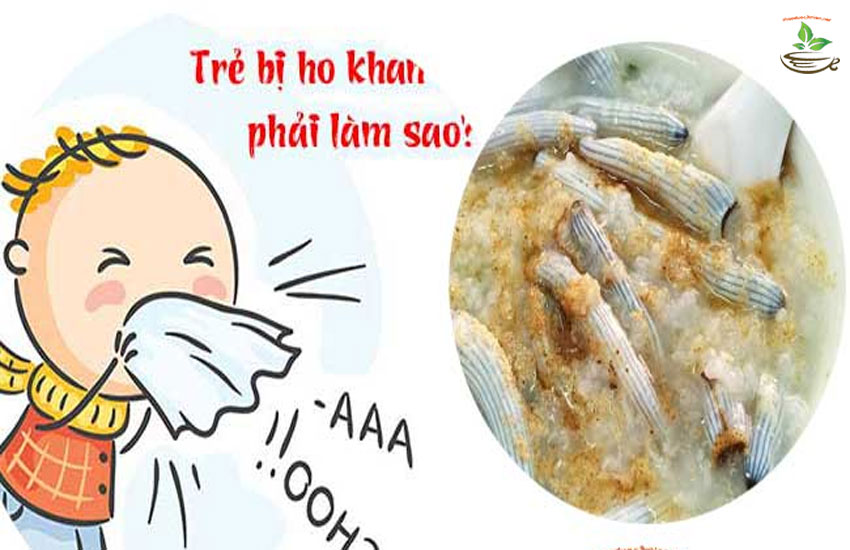 trị ho bằng sá sùng