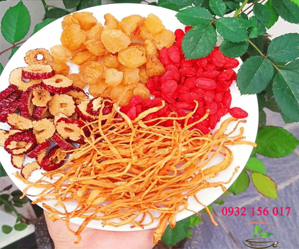 trà nấm đông trùng