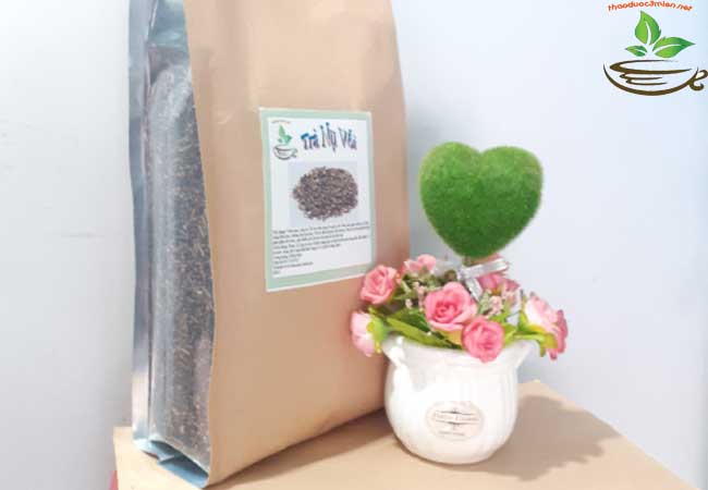 trà nụ vối trị gout