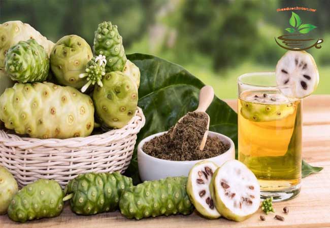 trái nhàu trị dau nhức xương khớp gout