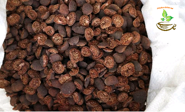 Tác dụng của quả sung-trái sung
