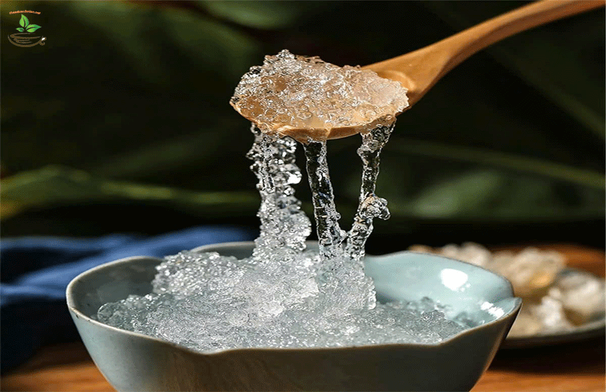 tuyết yến khô
