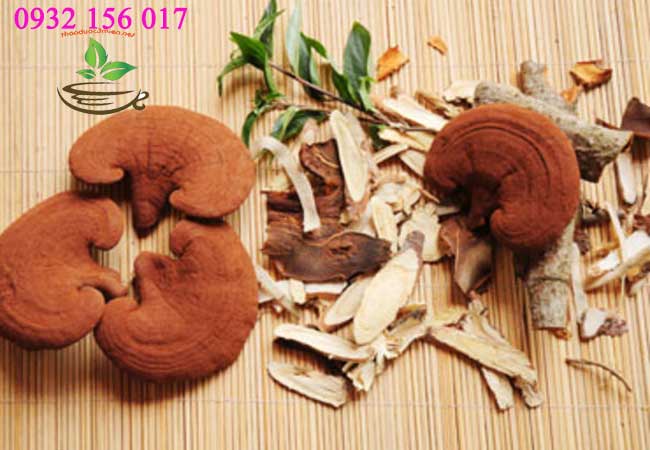 uống nấm linh chi mỗi ngày có tốt