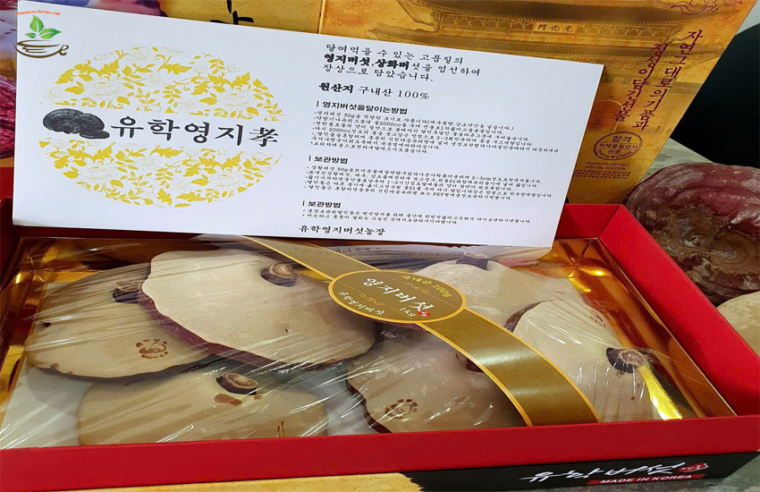 uống nhiều nấm linh chi có tốt không