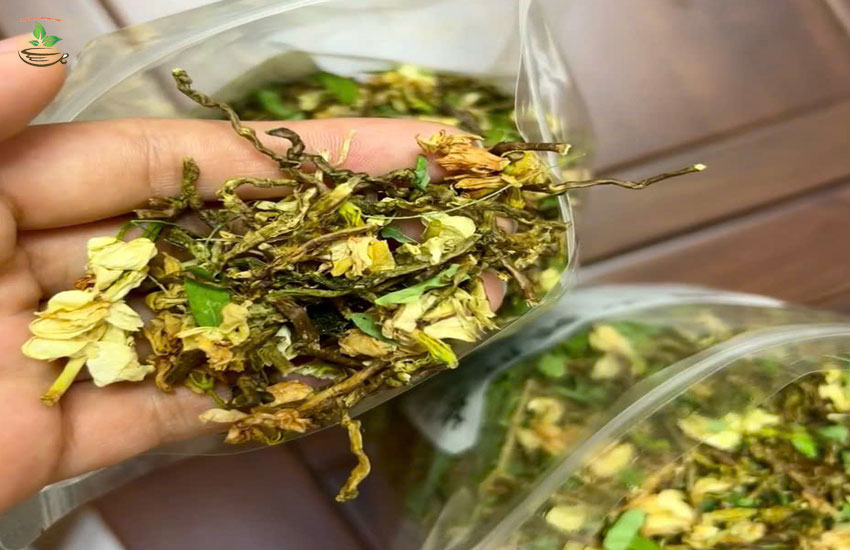 uống trà sơn mật thanh mát