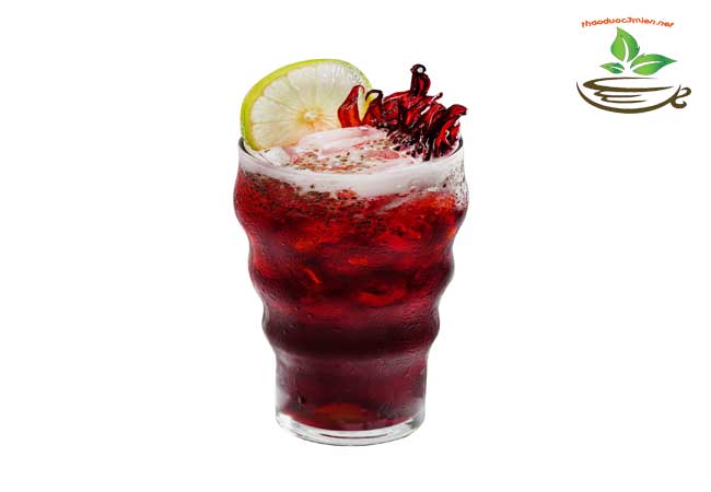 vùng đất trồng hoa atiso đỏ hibiscus bụp giấm
