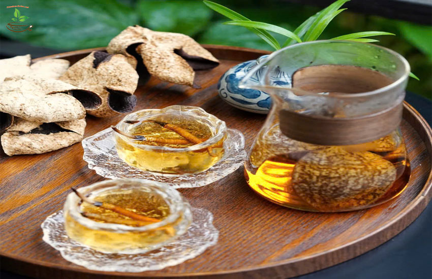 xuấ xừ đông trùng hạ thảo