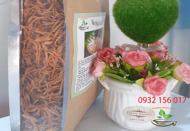 xuất xứ nấm đông trùng hạ thảo