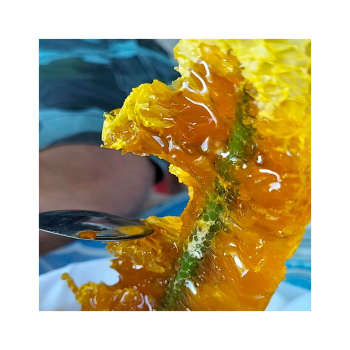 Mật ong rừng nguyên chất và công dụng của mật ong rừng