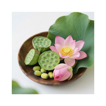 Ăn hạt sen giúp dễ ngủ và những chi tiết mang lại sức khoẻ tinh thần lành mạnh Ăn hạt sen giúp dễ ngủ và những chi tiết mang lại sức khoẻ tinh thần lành mạnh