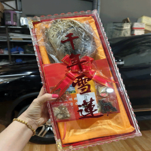 Hoa thiên sơn tuyết liên