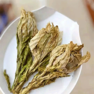 Hoa thiên sơn tuyết liên