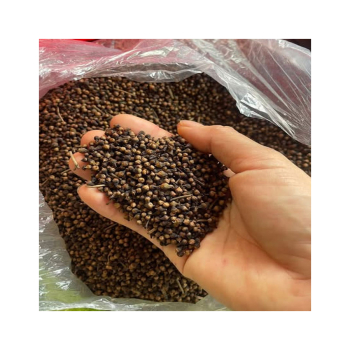 Chia sẻ 2 cách uống nụ vối giải nhiệt, hết nóng của người dân quê Nam Định