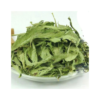 Cỏ ngọt và những tác dụng bất ngờ với sức khỏe? Cách sử dụng cây cỏ ngọt