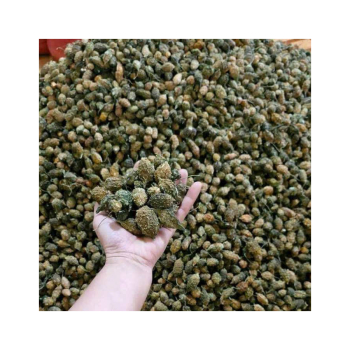 Địa chỉ bán sỉ lẻ khổ qua rừng (mướp đắng) nguyên trái sấy khô, giá tốt, uy tín, chất lượng tại Tp.Hcm