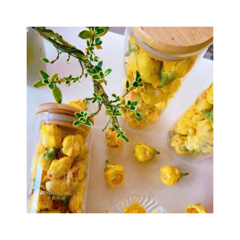 Địa chỉ bán trà hoa vàng sấy khô giá tốt uy tín chất lượng tại Tp.Hcm