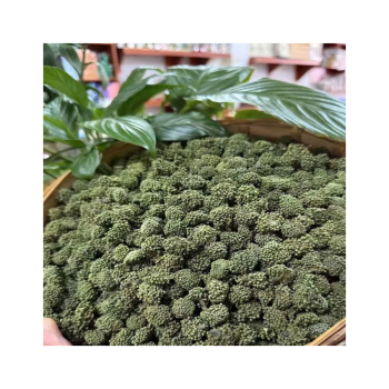 Địa chỉ mua bán sỉ và lẻ trà nụ hoa tam thất giá tốt, uy tín, chất lượng tại tphcm