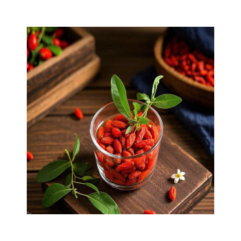 Đối tượng em bé và phụ nữ dùng hạt câu kỷ tử có tốt không? Liều lượng dùng phù hợp tốt cho sức khỏe như thế nào?