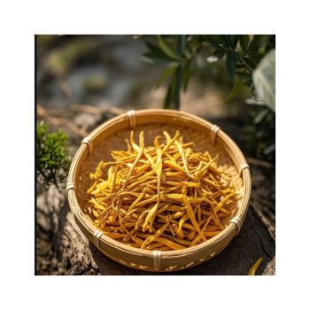 Giá bán hoa kim châm bao nhiêu tiền 1kg và địa chỉ mua hàng uy tín