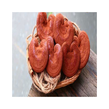 Giá cả nấm linh chi trên thị trường và địa chỉ mua hàng uy tín