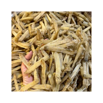 Giá cả sá sùng trên thị trường và địa chỉ bán sá sùng tại tphcm