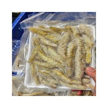 Giá cả và địa chỉ bán hải sâm biển khô uy tín chất lượng tại hcm