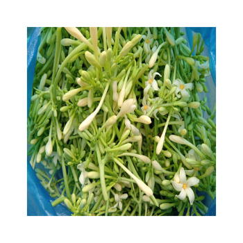 Giá hoa đủ đủ đực trên thị trường và địa chỉ mua hàng uy tín chất lượng