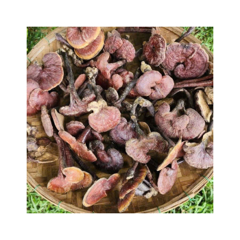 Giá nấm lim xanh và địa chỉ bán hàng uy tín chất lượng