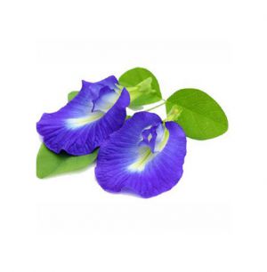 Giá cả trà hoa đậu biếc tại Tp.Hcm và trên thị trường hiện nay