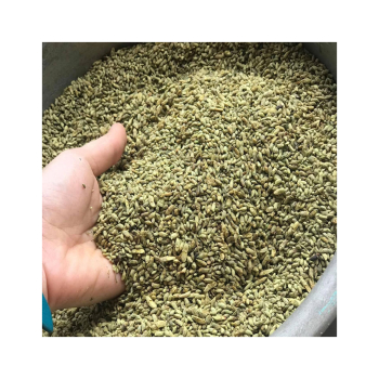 Hướng dẫn cách giảm cân độc nhất từ trà hoa hòe Thái Bình thơm ngon và dễ uống