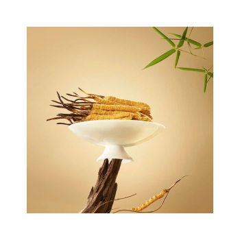 Hướng dẫn cách sử dụng đông trùng hạ thảo: pha trà, ngâm mật ong, ngâm rượu, tiềm đồ, chưng yến