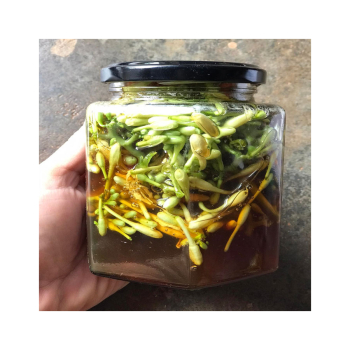 Hướng dẫn ngâm hoa đu đủ hấp mật ong hoặc ngâm rượu trị ho cực kỳ hiệu quả