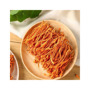 Kinh ngạc bí mật về tác dụng thần kỳ của nấm đông trùng hạ thảo với sức khỏe