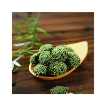 Liệt kê những công dụng tuyệt với của nụ hoa tam thất trong việc hỗ trợ điều trị bệnh