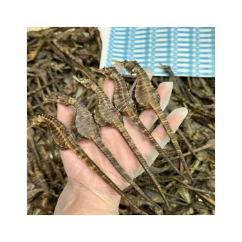 Lợi ích của việc dùng cá ngựa đối với các chị em phụ nữ và trẻ em