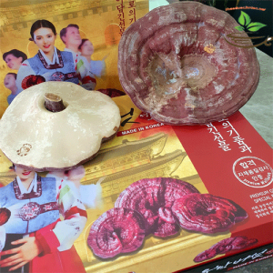 Nấm Linh Chi Hàn Quốc