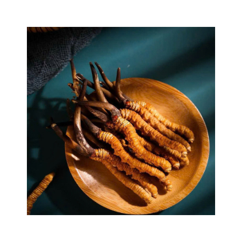 Ngỡ ngàng 9 công dụng bất ngờ của đông trùng hạ thảo mang lại cho sức khỏe con người