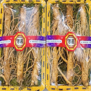 Nhân Sâm Hàn Quốc