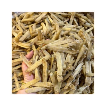 Phân biệt các loại sá sùng tại Việt Nam